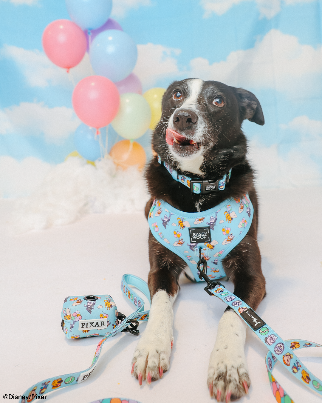 Dog Adjustable Harness - Disney and Pixar's Up