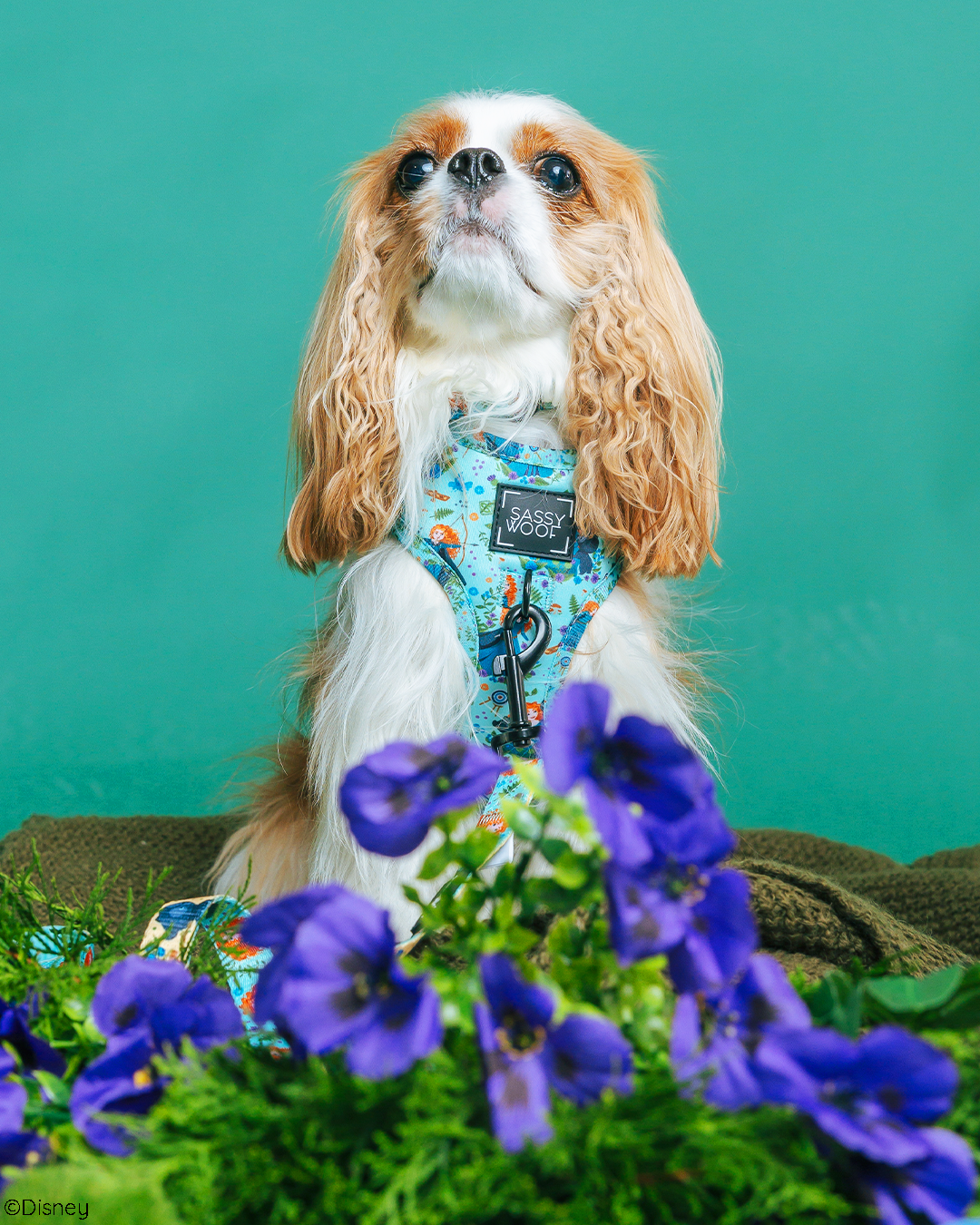 Dog Adjustable Harness - Disney's Merida