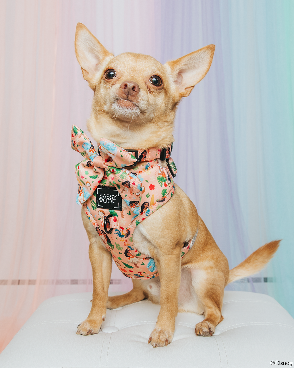 Dog Adjustable Harness - Disney's Moana
