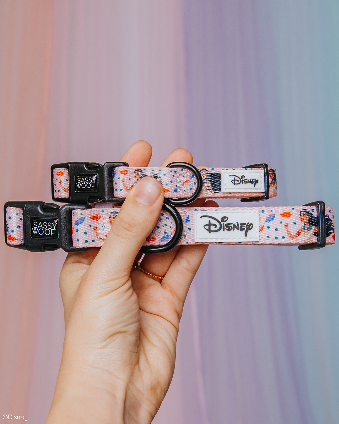 Dog Collar - Disney's Pocahontas