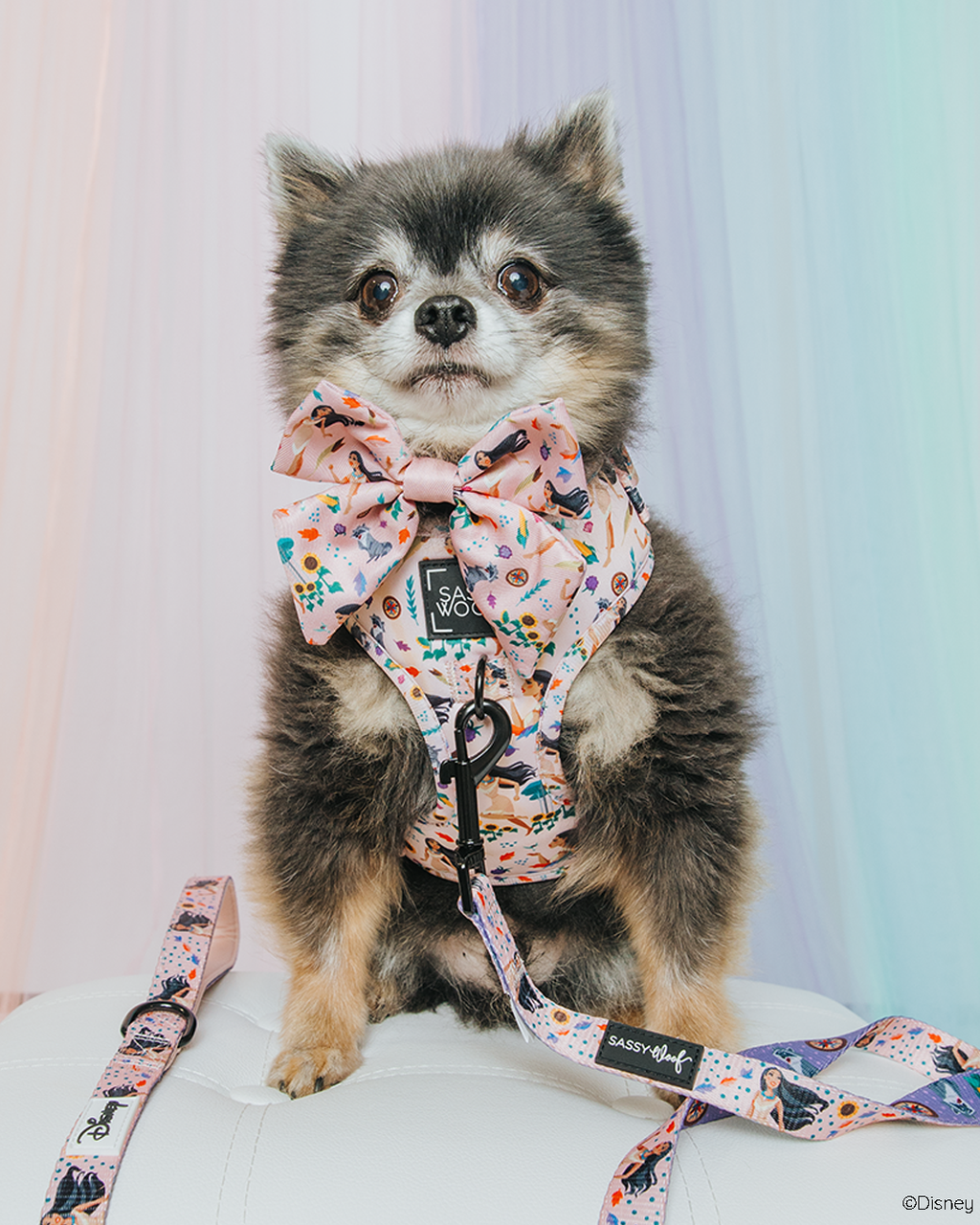 Dog Adjustable Harness - Disney's Pocahontas
