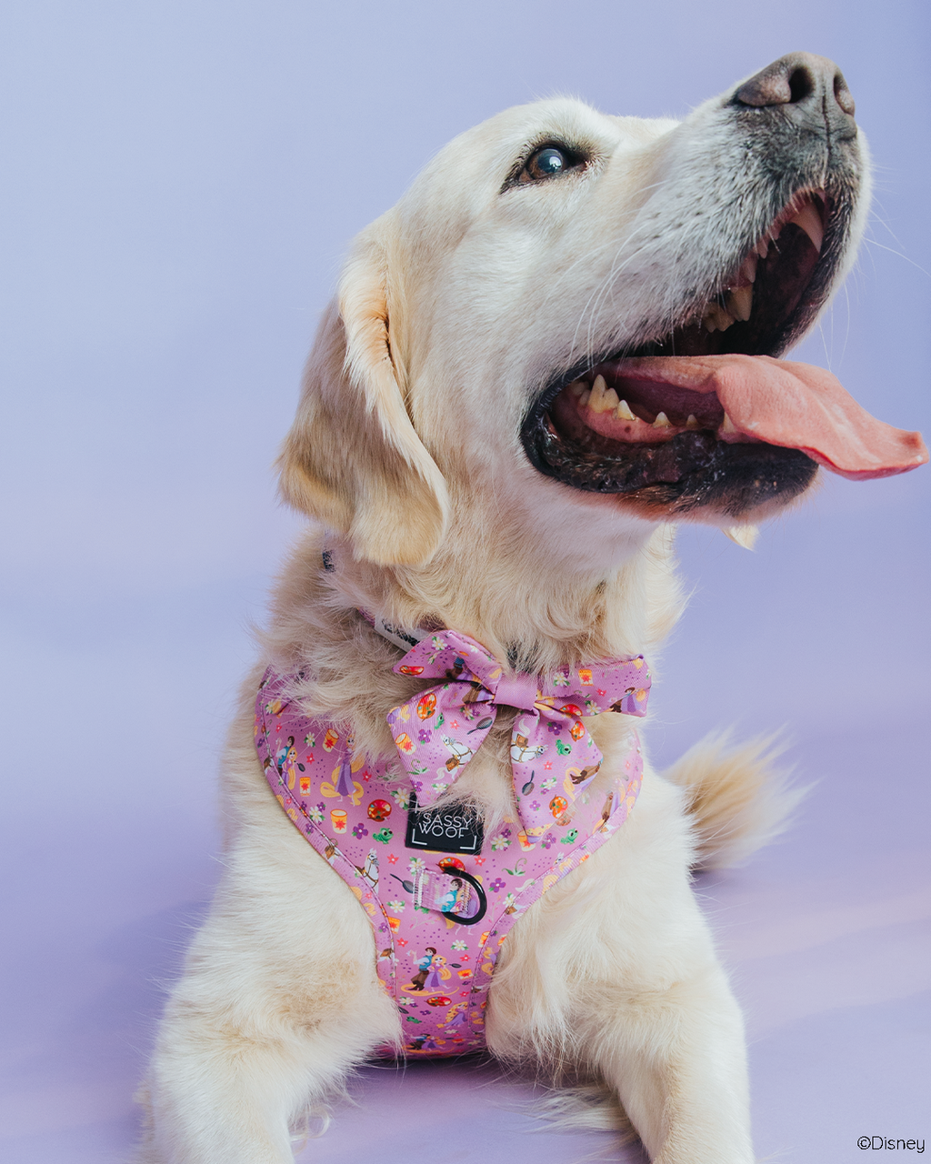 Dog Adjustable Harness - Disney's Rapunzel