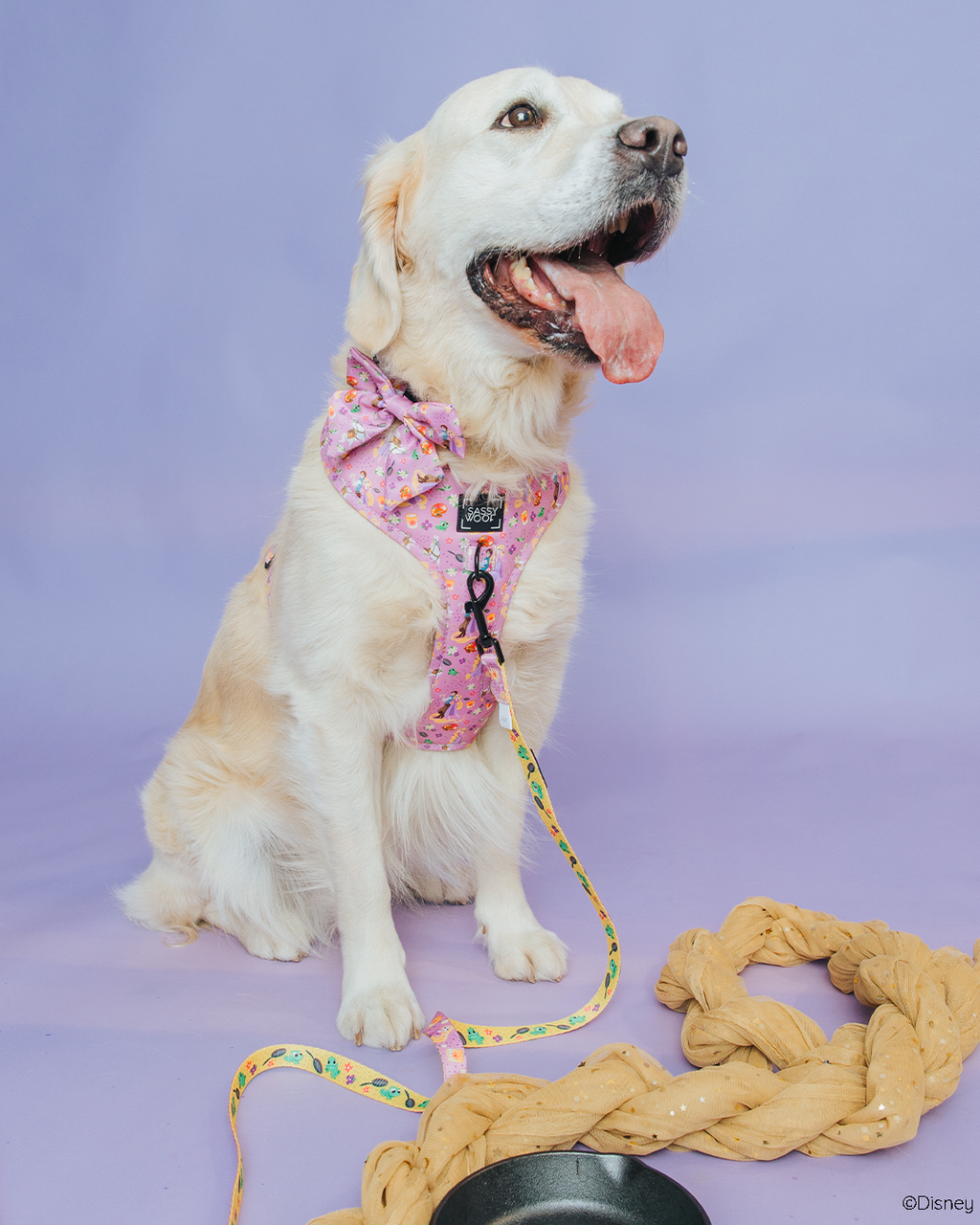 Dog Collar - Disney's Rapunzel