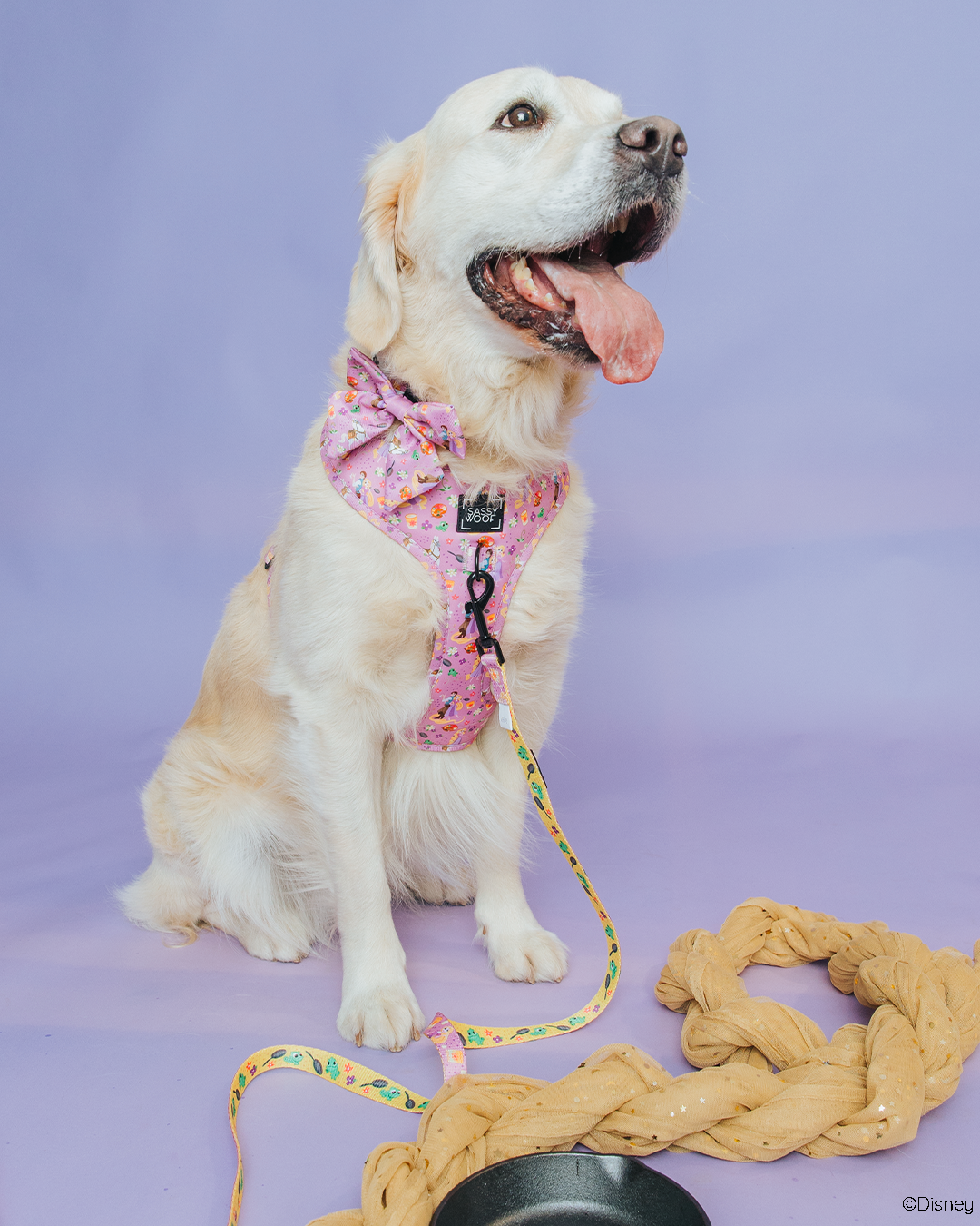 Dog Collar - Disney's Rapunzel