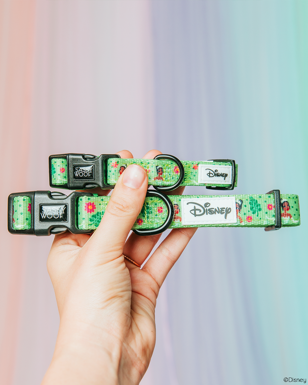 Dog Collar - Disney's Tiana