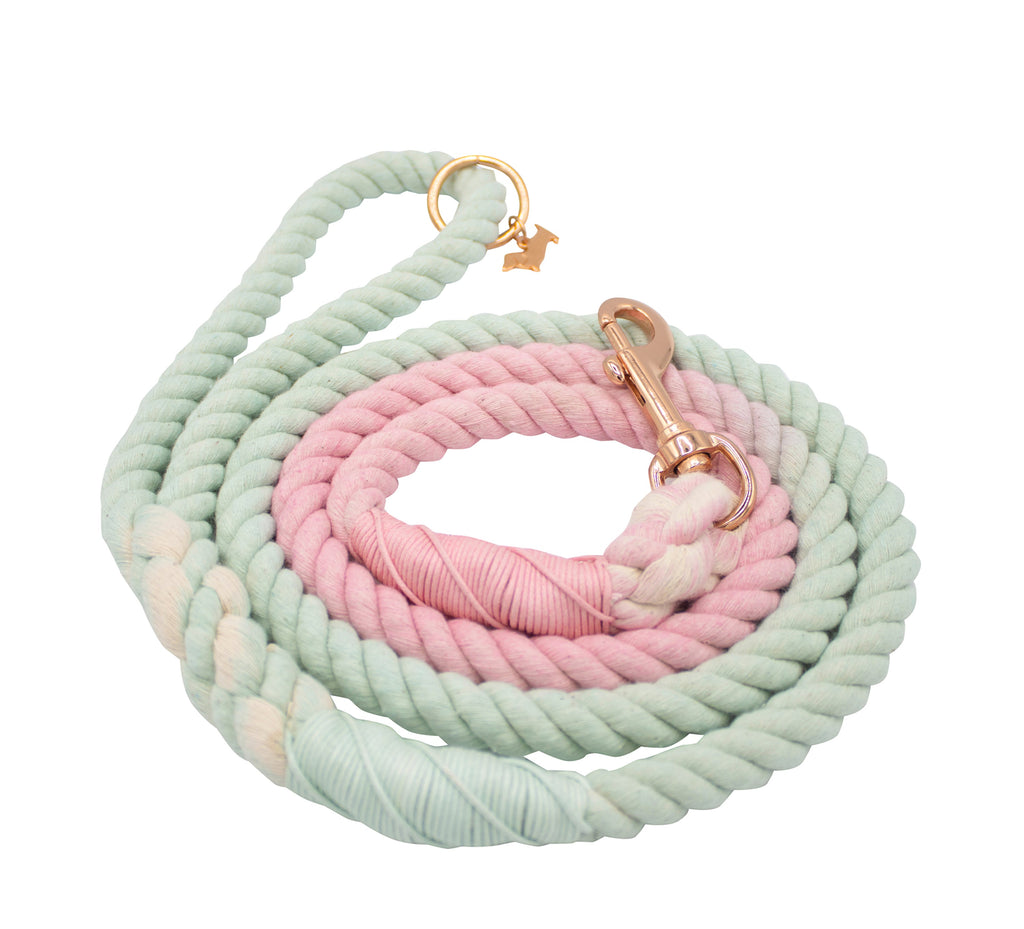 Dog Rope Leash - La Jolie Fleur