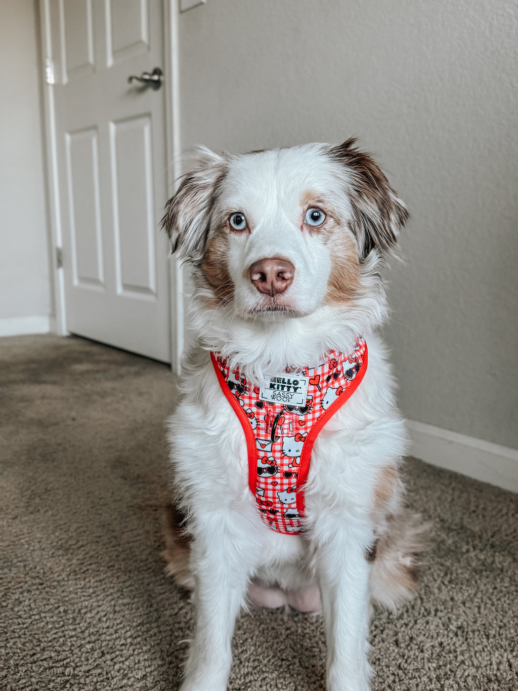 Dog Adjustable Harness - Hello Kitty® Red Classic