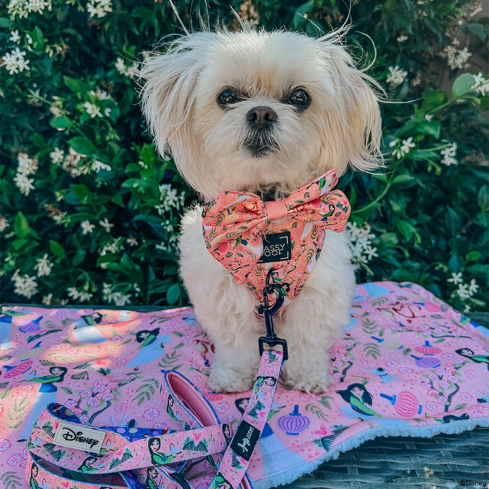 Dog Leash - Disney's Mulan