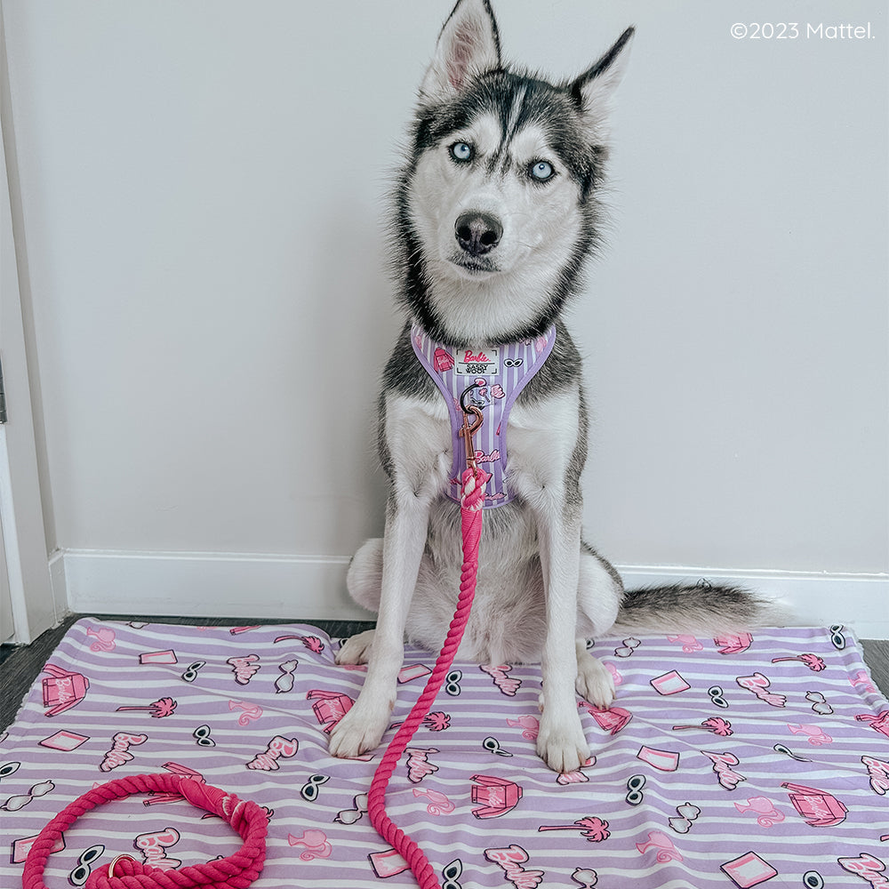 Dog Adjustable Harness - BARBIE™ Closet Goals