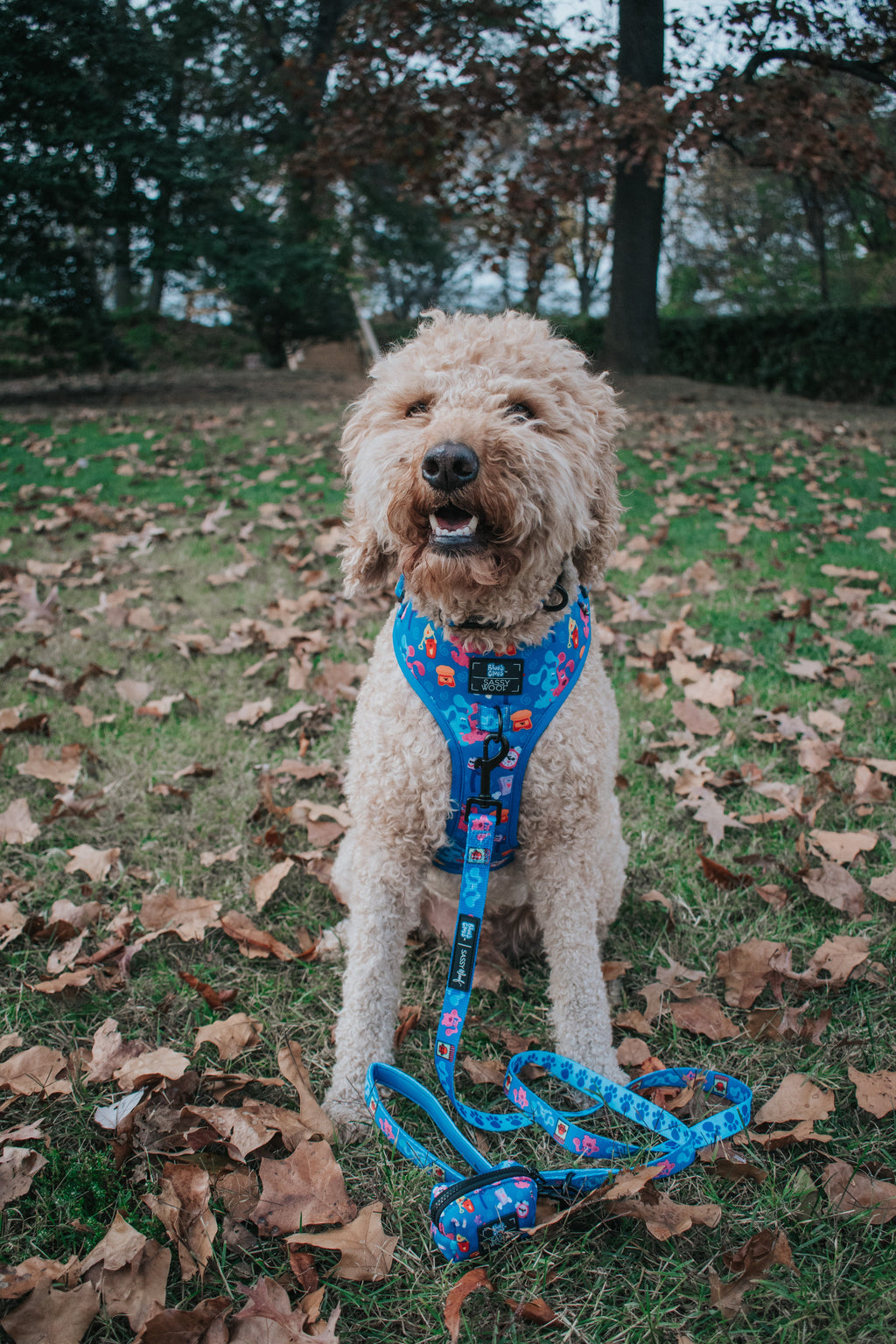 Dog Adjustable Harness - Blue's Clues™