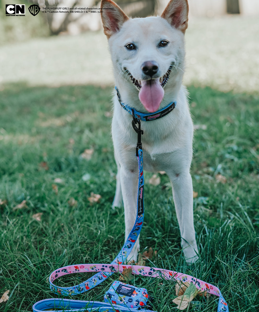 Dog Collar - The Powerpuff Girls™ (Blue)