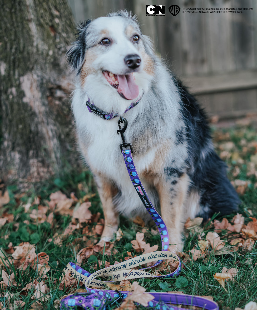 Dog Leash - Mojo Jojo™
