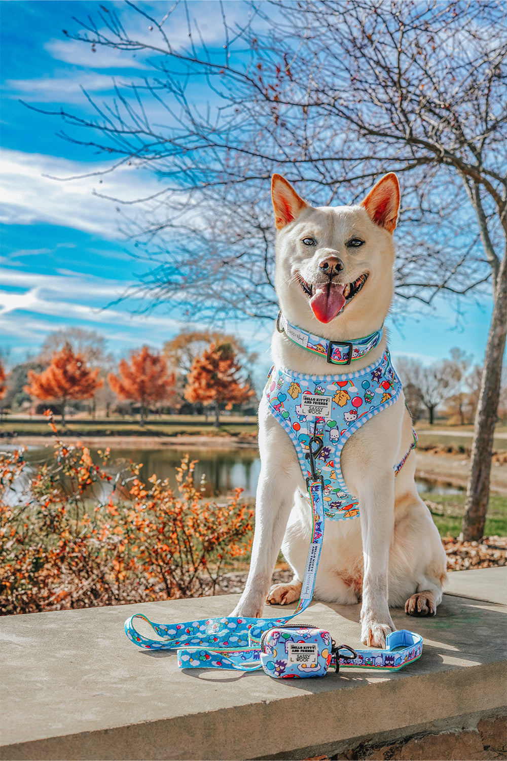Dog Two Piece Bundle - Hello Kitty® & Friends In the Sky