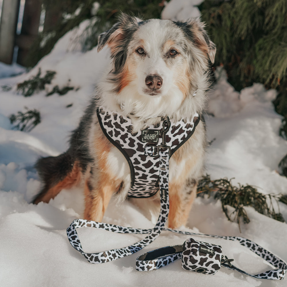 Dog Adjustable Harness - Whole Milk