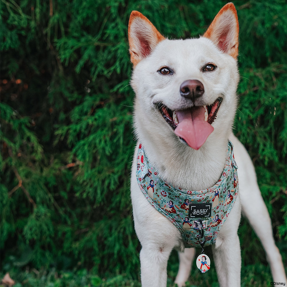 Dog Adjustable Harness - Disney's Snow White