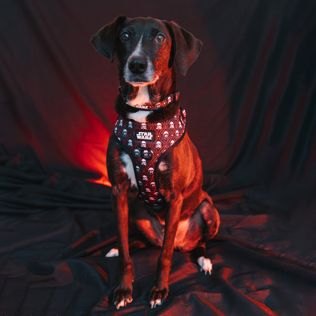 Dog Adjustable Harness - STAR WARS™ The Dark Side
