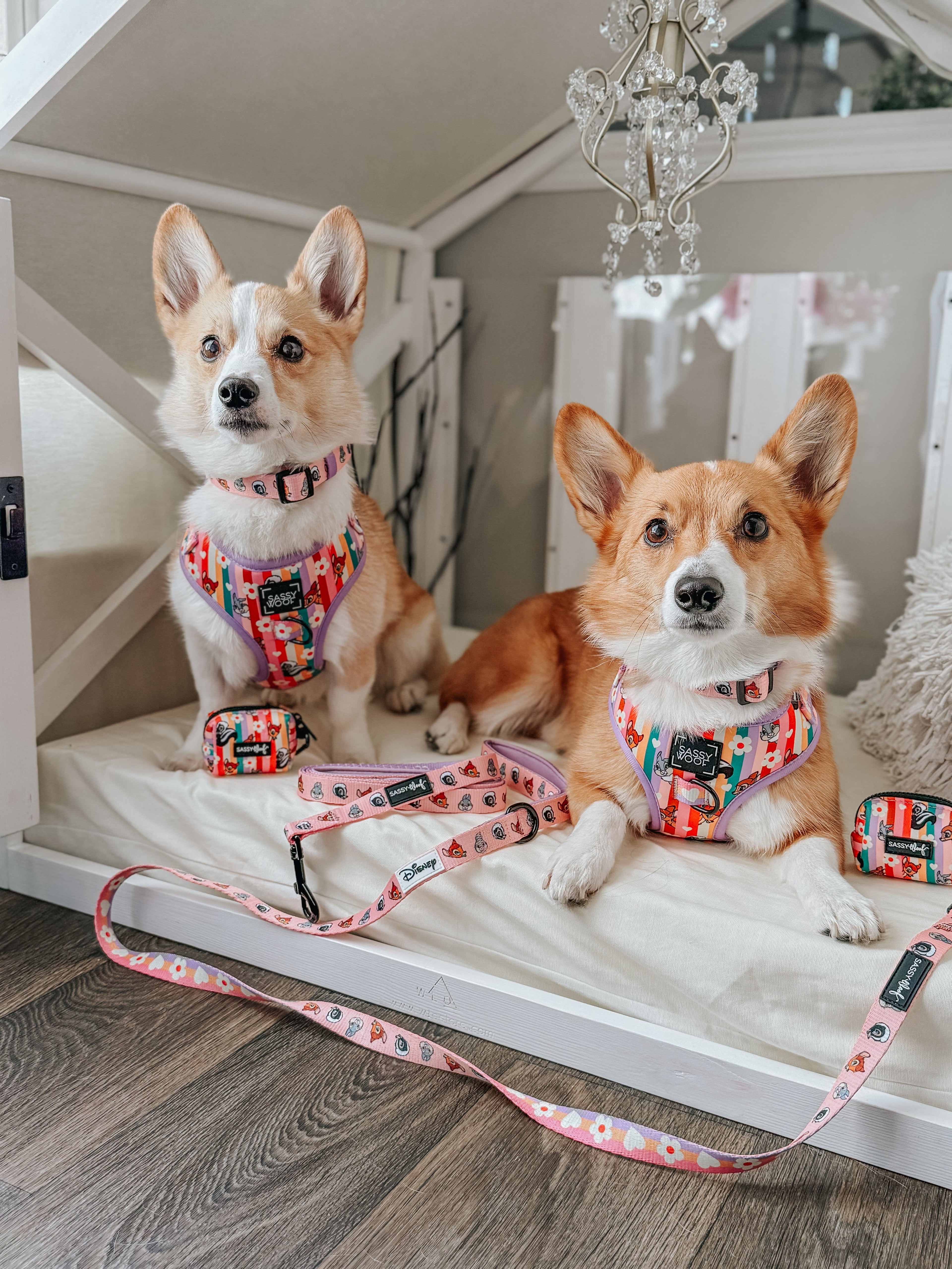 Dog Collar - Disney's Bambi