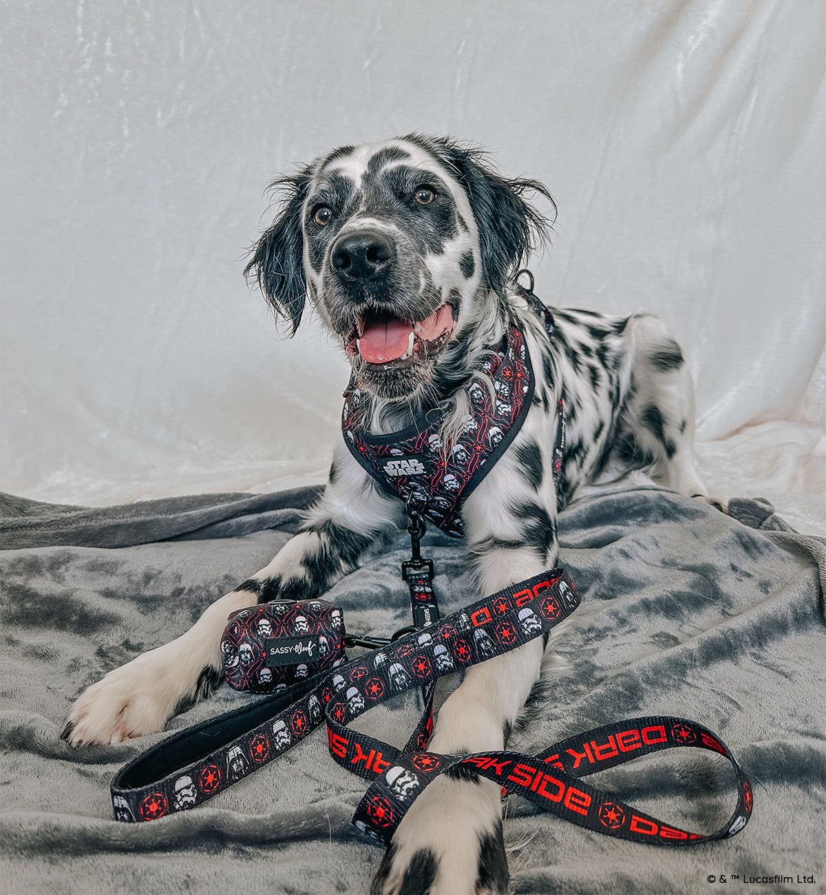Dog Adjustable Harness - STAR WARS™ The Dark Side