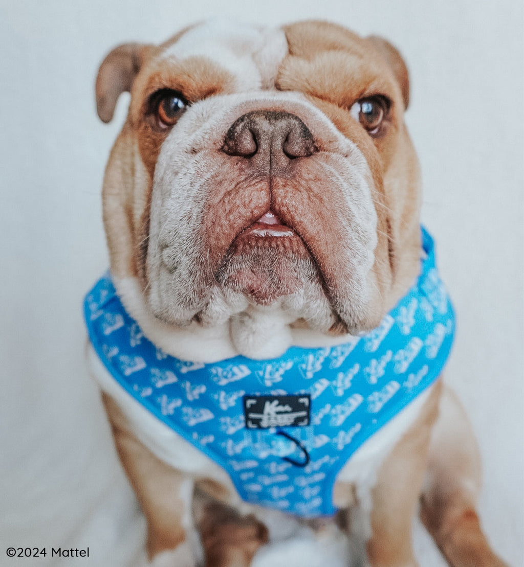 Dog Adjustable Harness - KEN™
