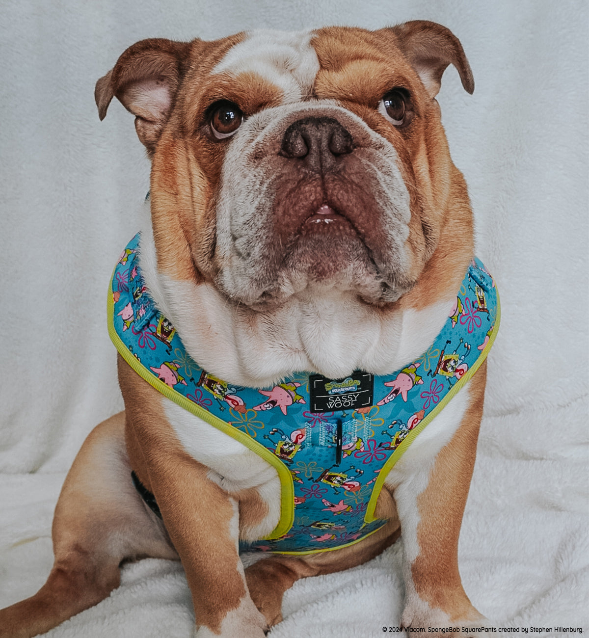 Dog Adjustable Harness - SpongeBob SquarePants™ Jelly Fishin'