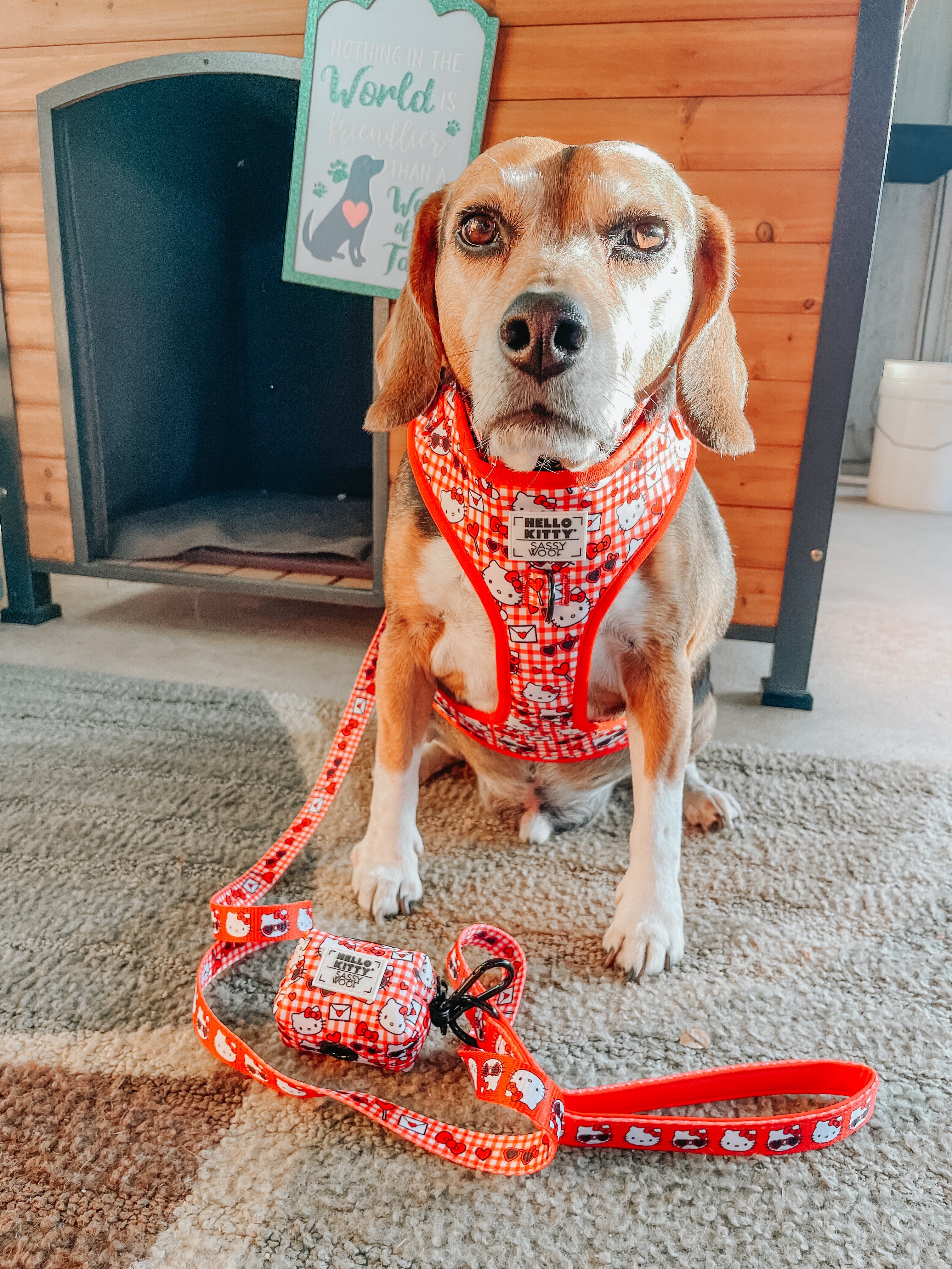 Dog Collar - Hello Kitty® Red Classic