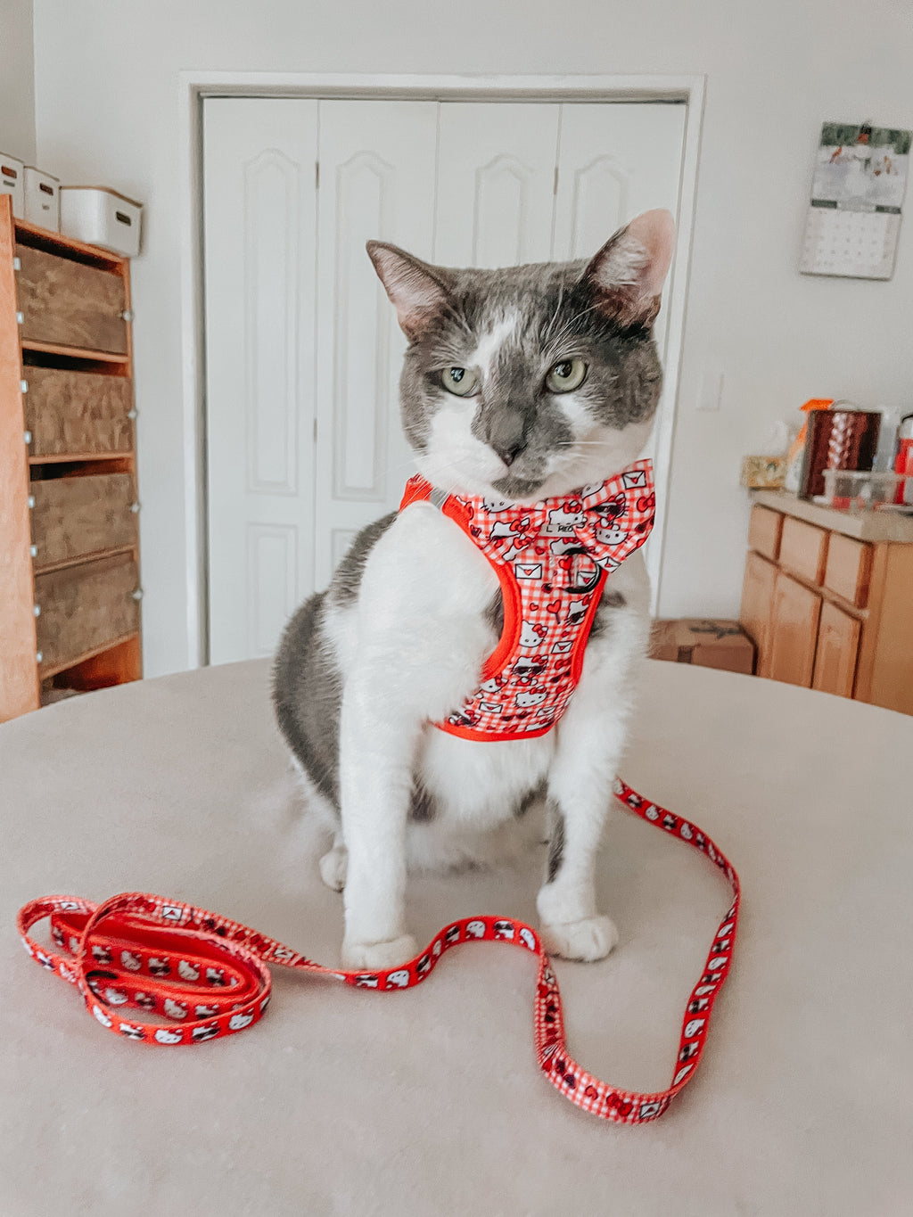 Cat Step-In Harness - Hello Kitty® Red Classic