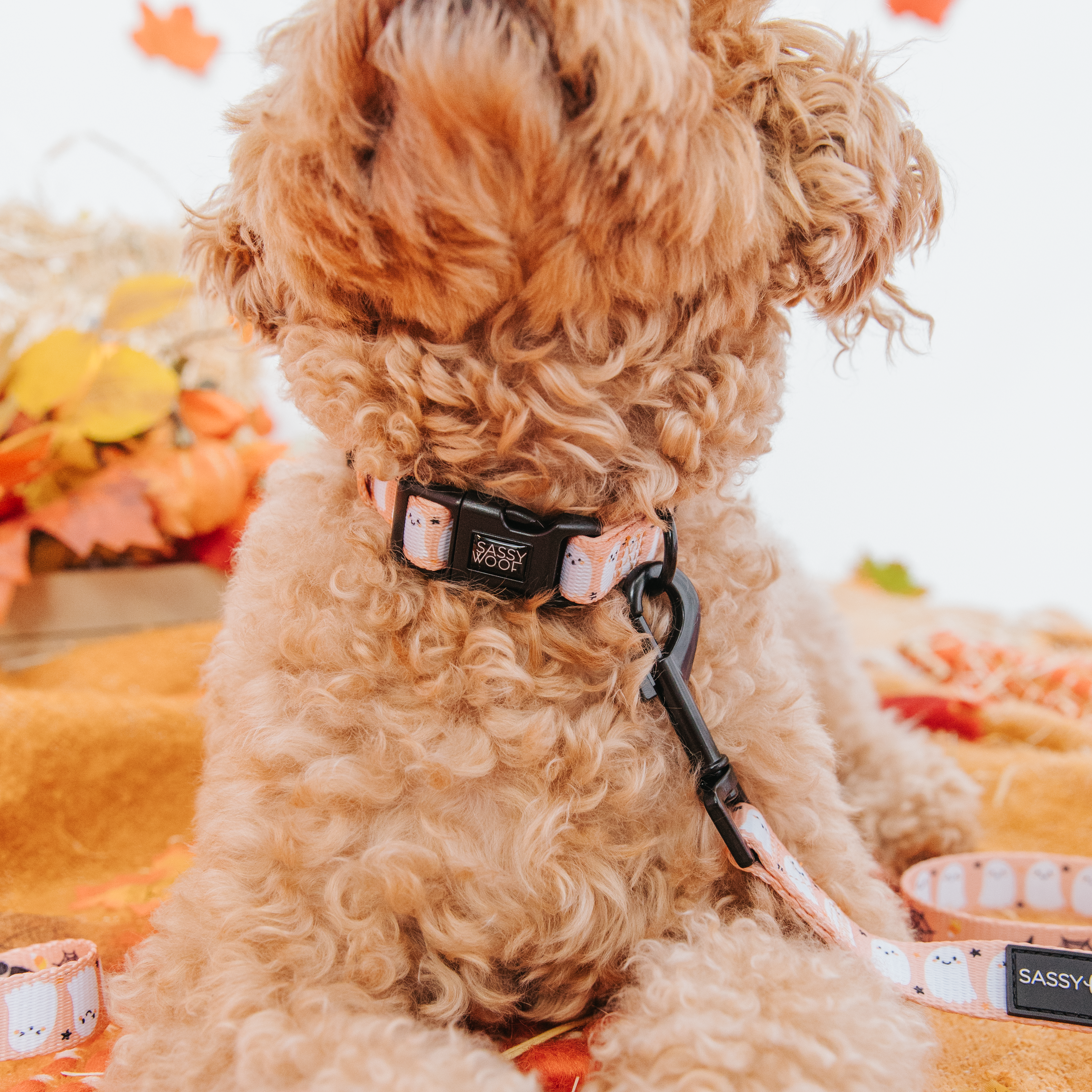 Dog Collar - Squad Ghouls