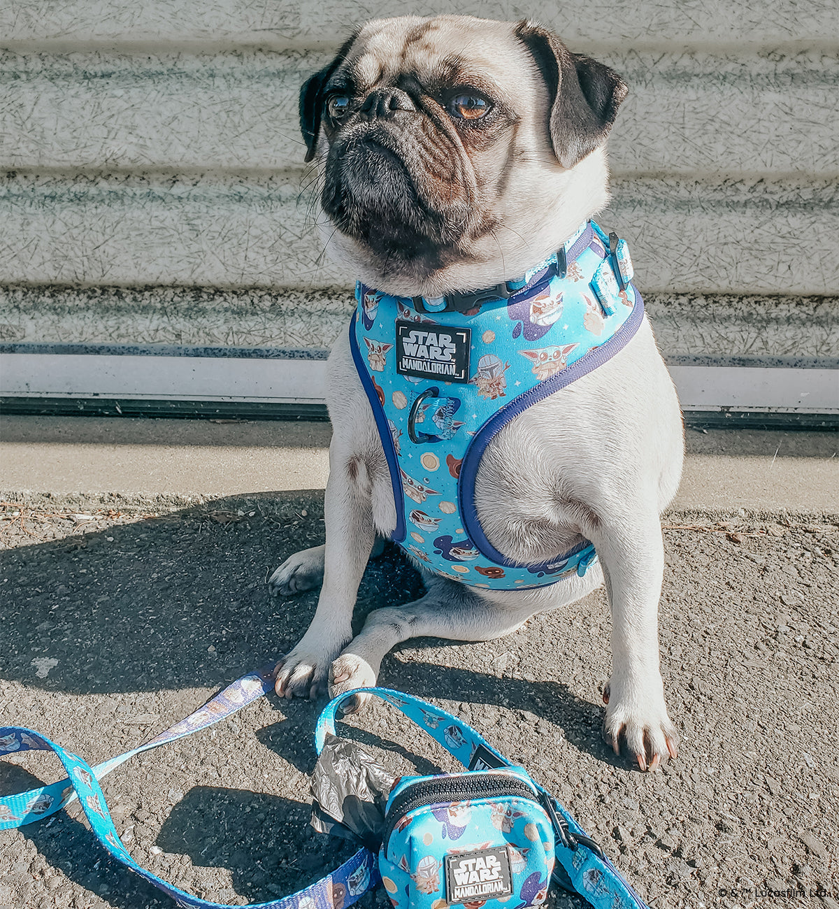 Dog Adjustable Harness - STAR WARS™ The Mandalorian™