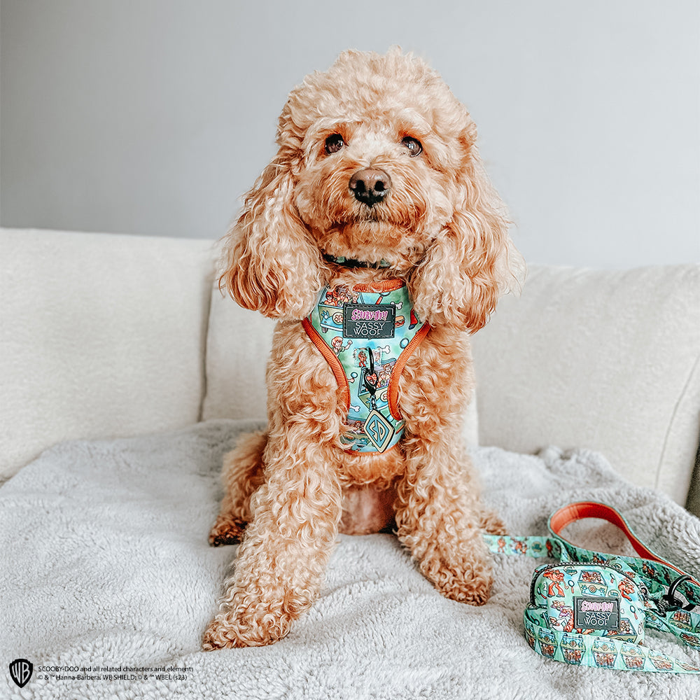 Collar Tag - Scooby-Doo™