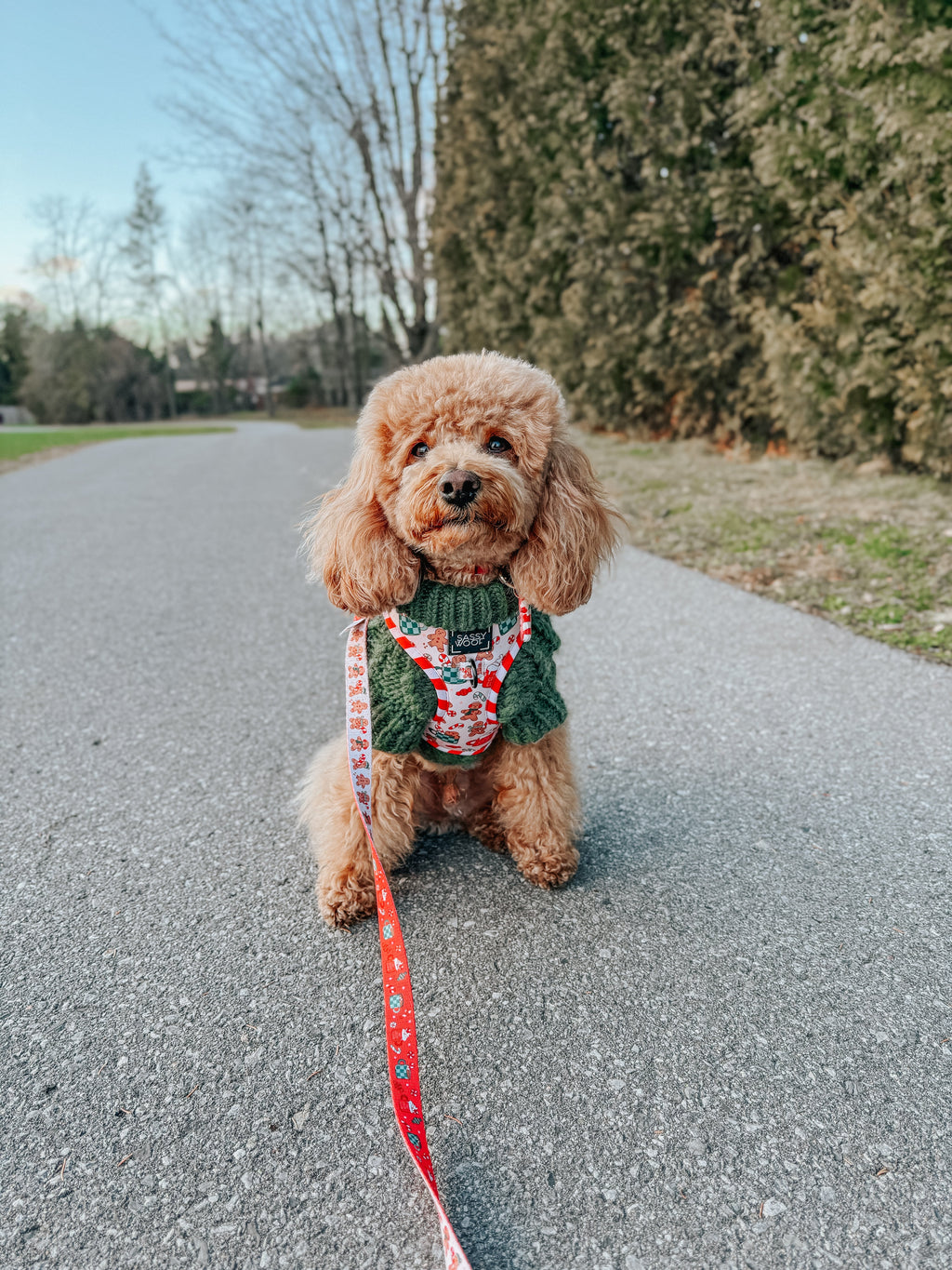 Dog Adjustable Harness - Hot Cocoa Club