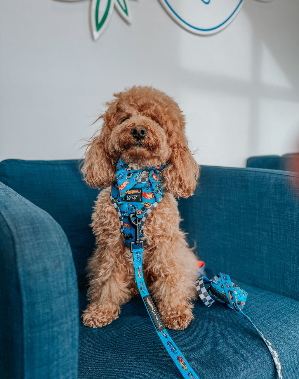 Dog Leash - Hot Wheels™
