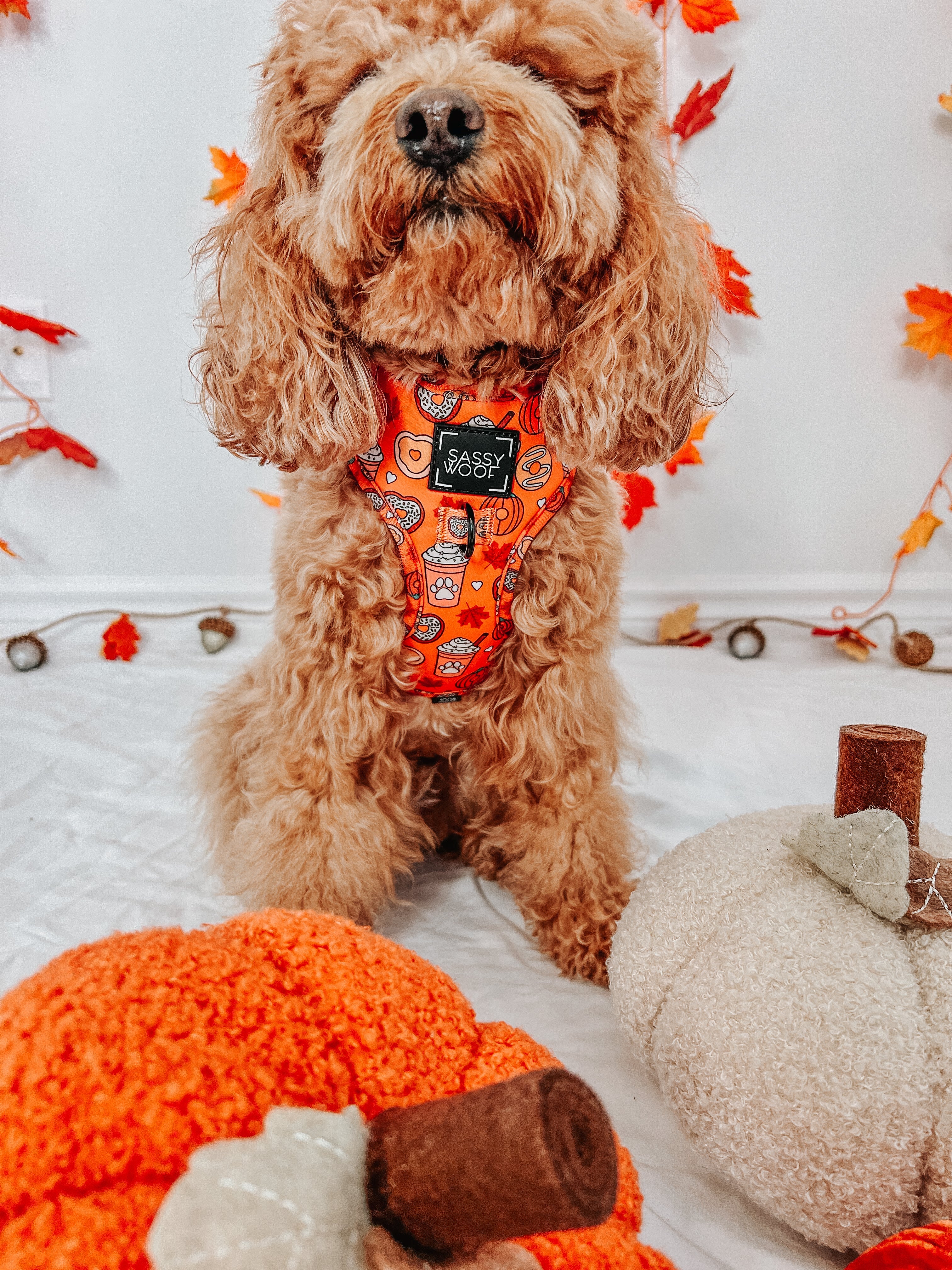 Dog Adjustable Harness - Pupkin Donuts