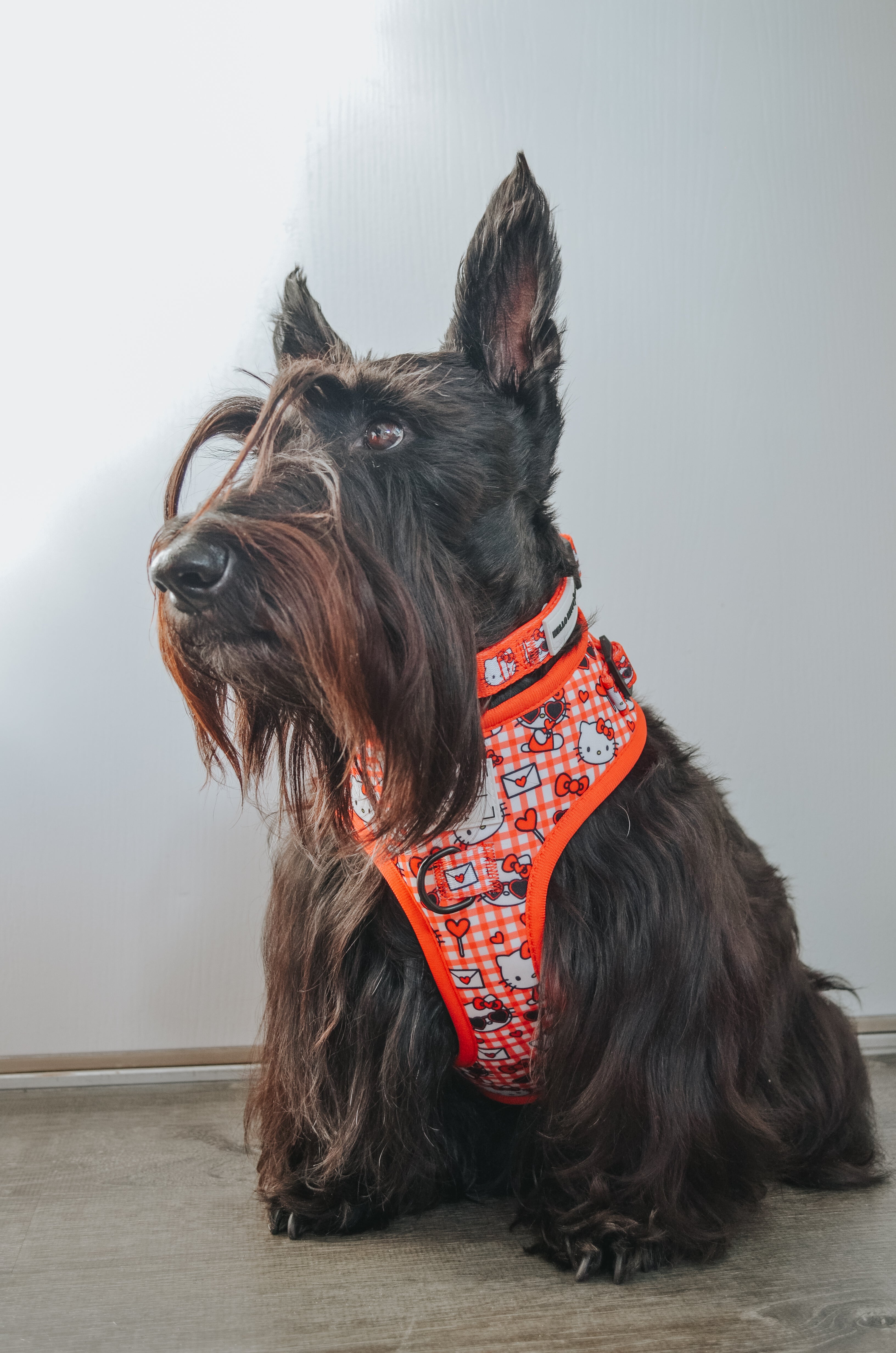 Dog Adjustable Harness - Hello Kitty® Red Classic