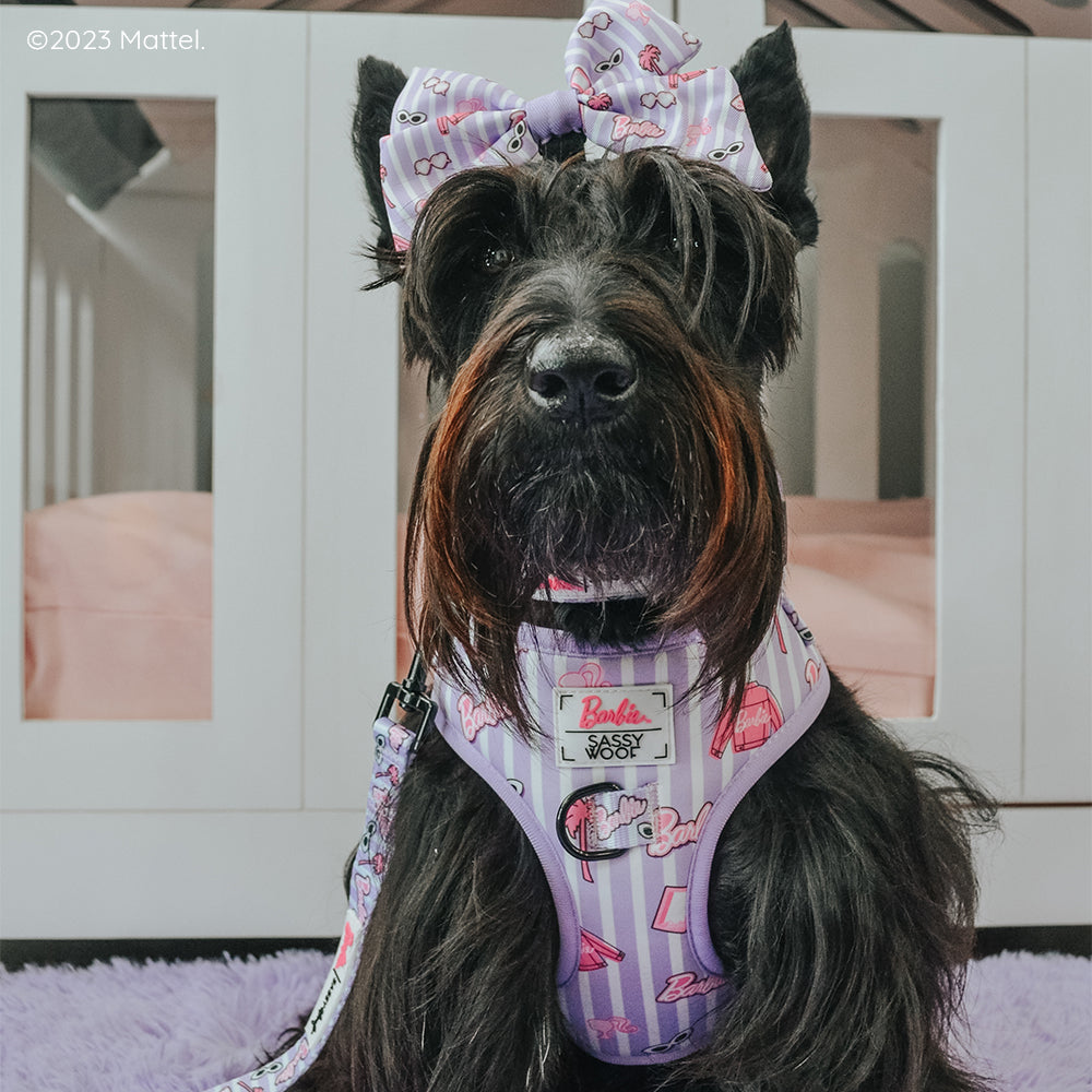 Dog Adjustable Harness - BARBIE™ Closet Goals