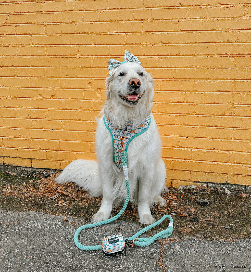 Dog Adjustable Harness - STAR WARS™ The Child™