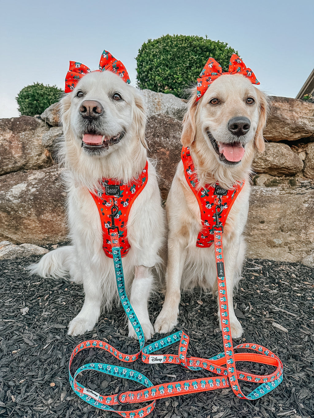 Dog Leash - Disney Holiday Collection