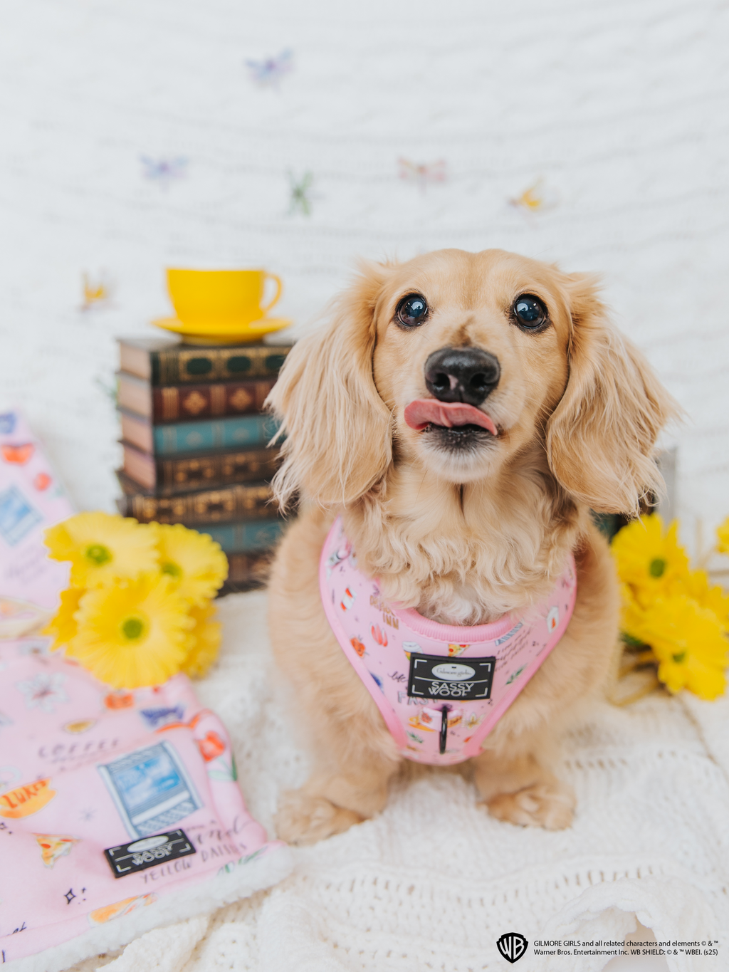 Dog Adjustable Harness - Gilmore Girls™