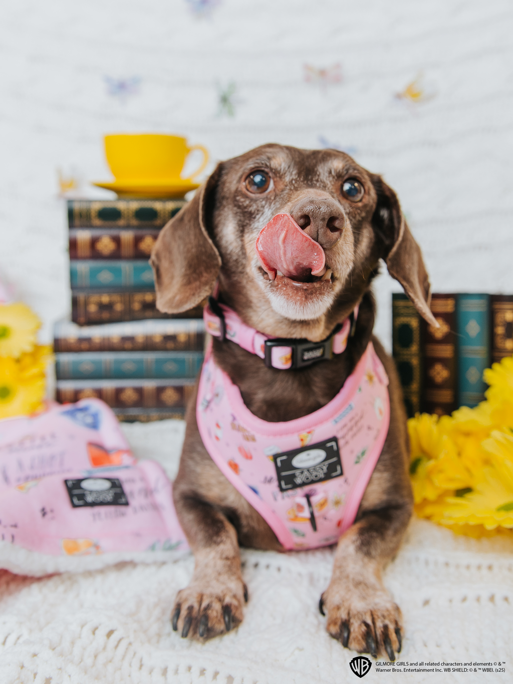 Dog Collar - Gilmore Girls™