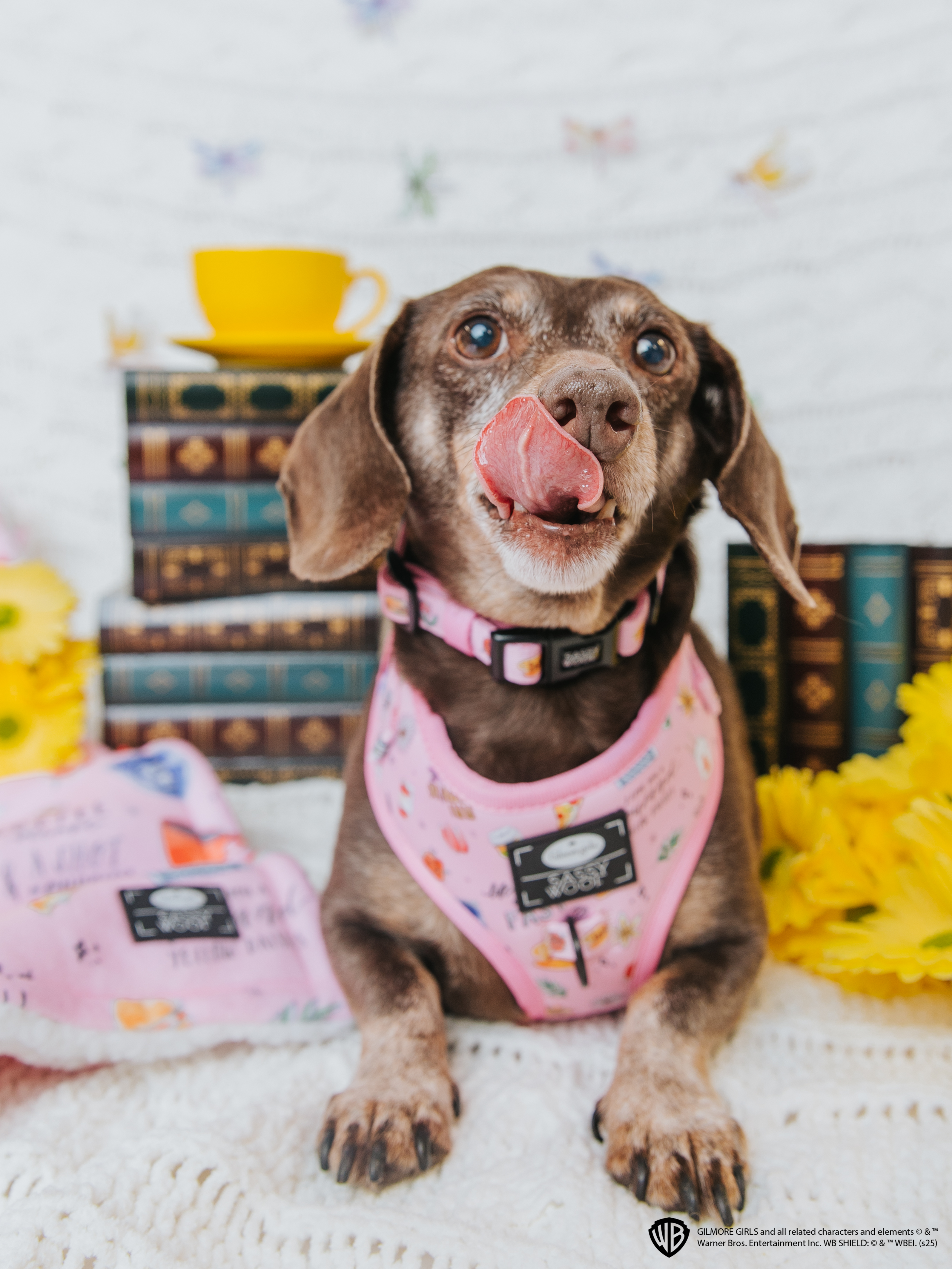Dog Collar - Gilmore Girls™