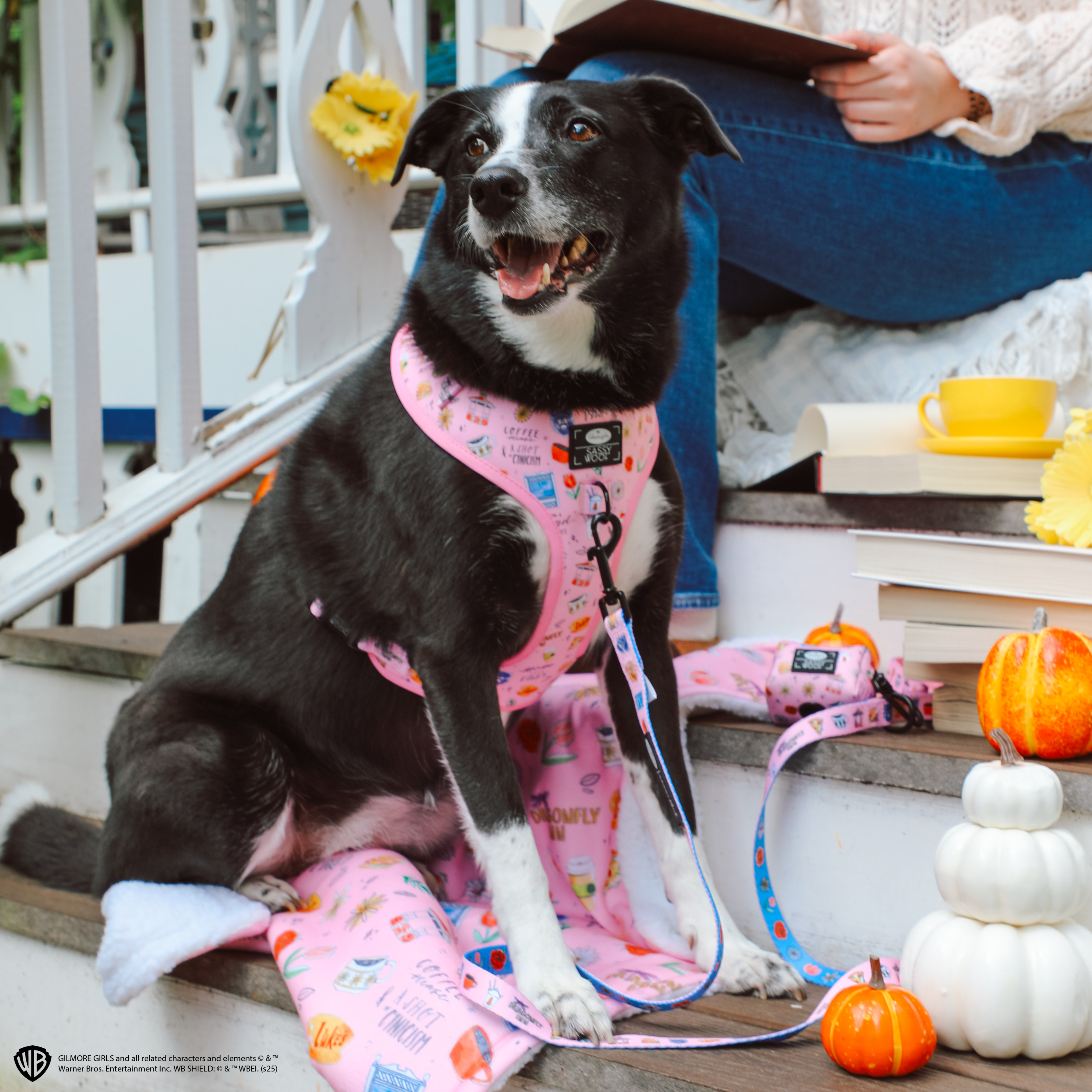 Dog Adjustable Harness - Gilmore Girls™