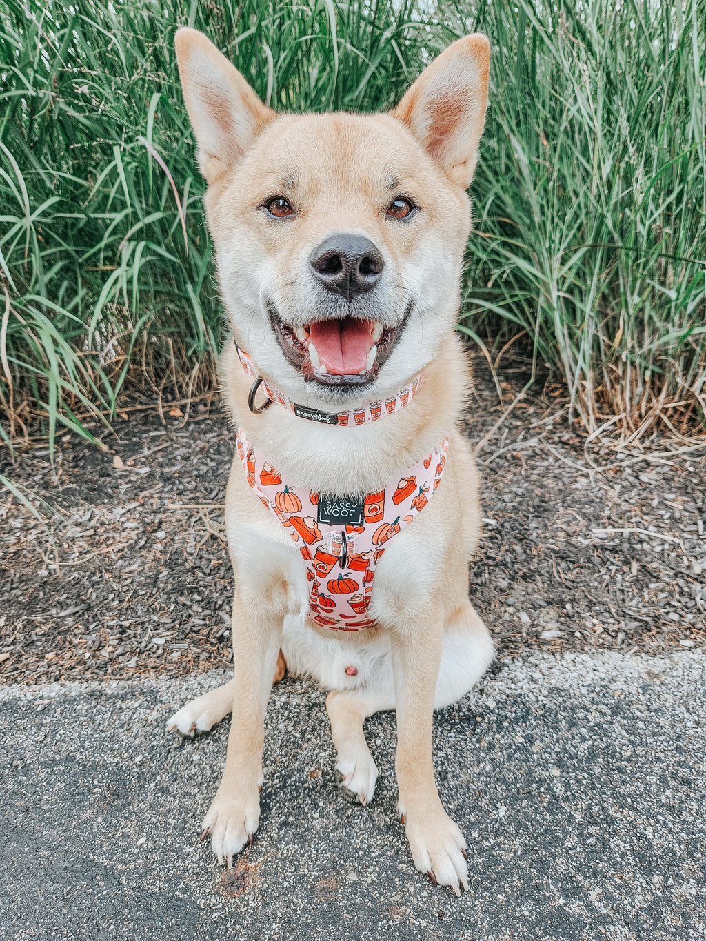 Dog Adjustable Harness - Pie There!
