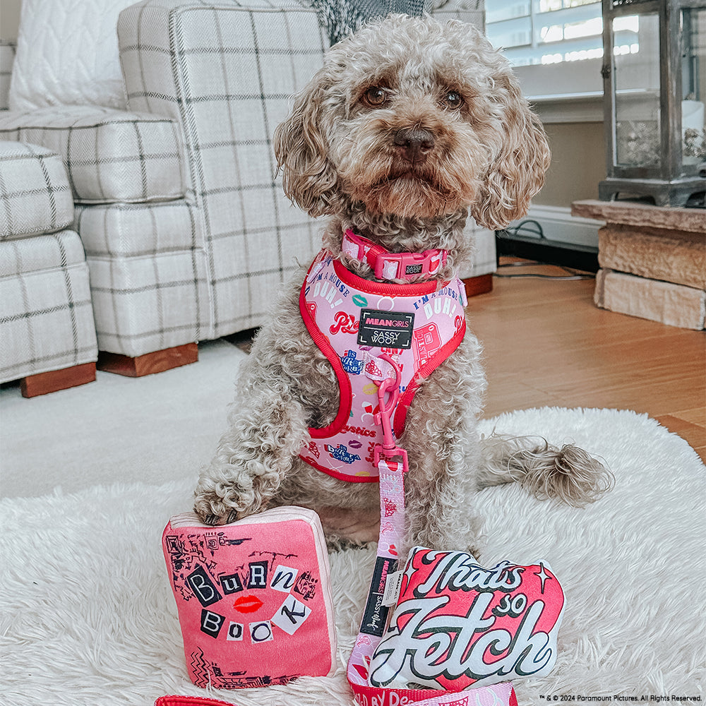 Dog Adjustable Harness - Mean Girls™
