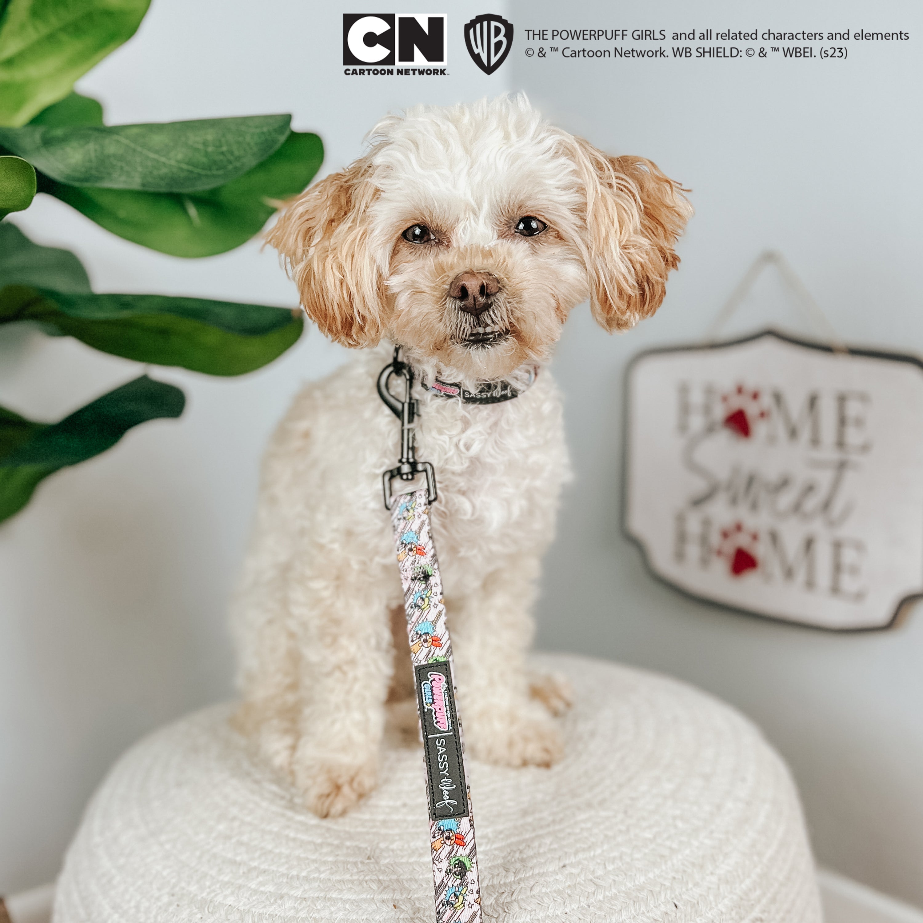 Dog Leash - The Powerpuff Girls™ (Pink)