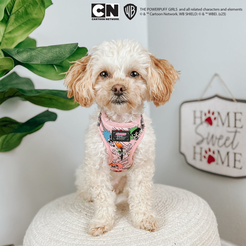 Dog Adjustable Harness - The Powerpuff Girls™ (Pink)