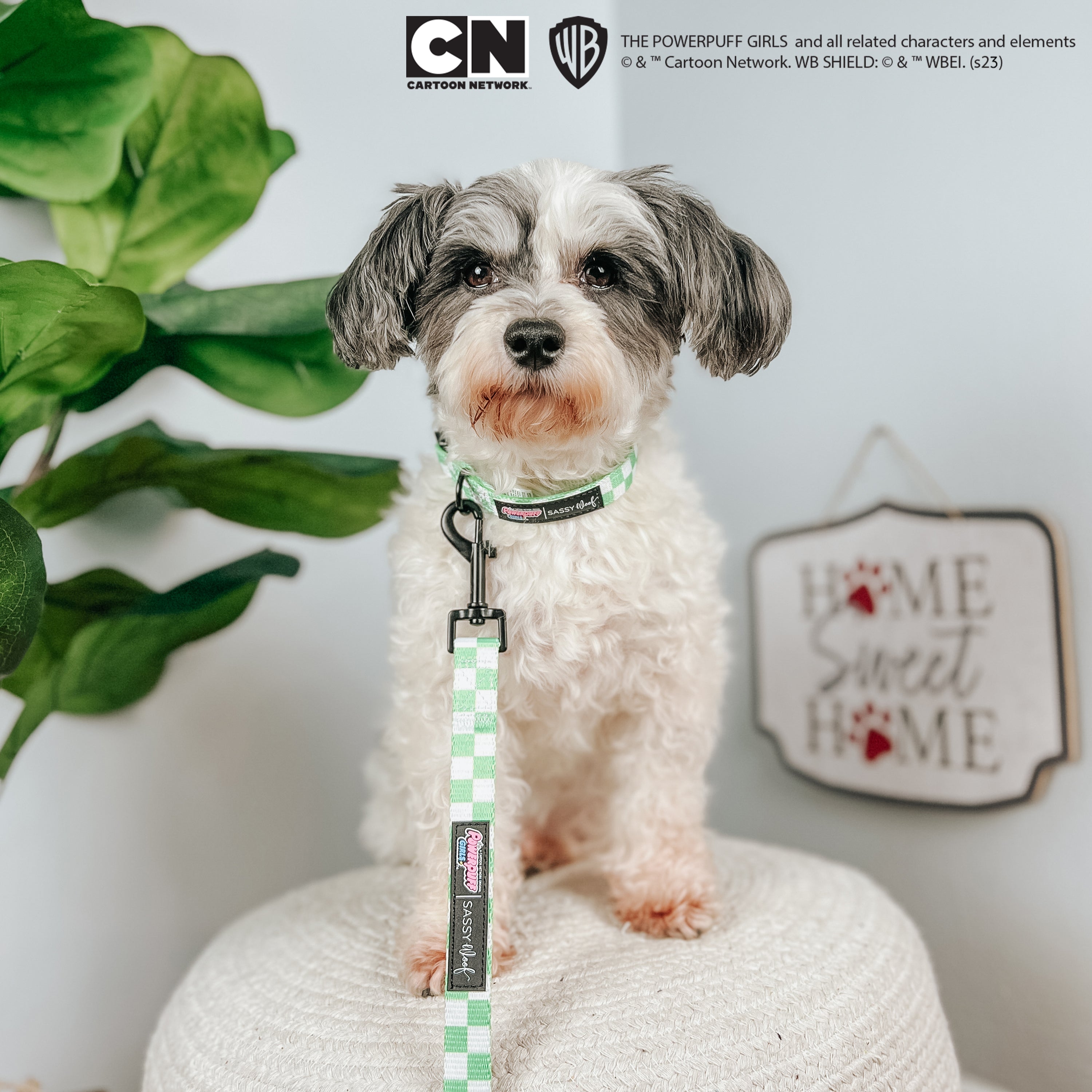 Dog Collar - The Powerpuff Girls™ (Green)