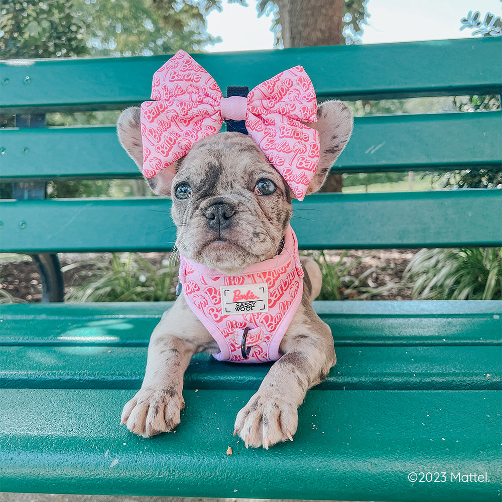 Dog Adjustable Harness - BARBIE™ Malibu