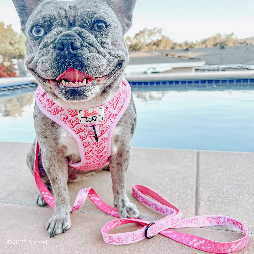 Dog Adjustable Harness - BARBIE™ Malibu