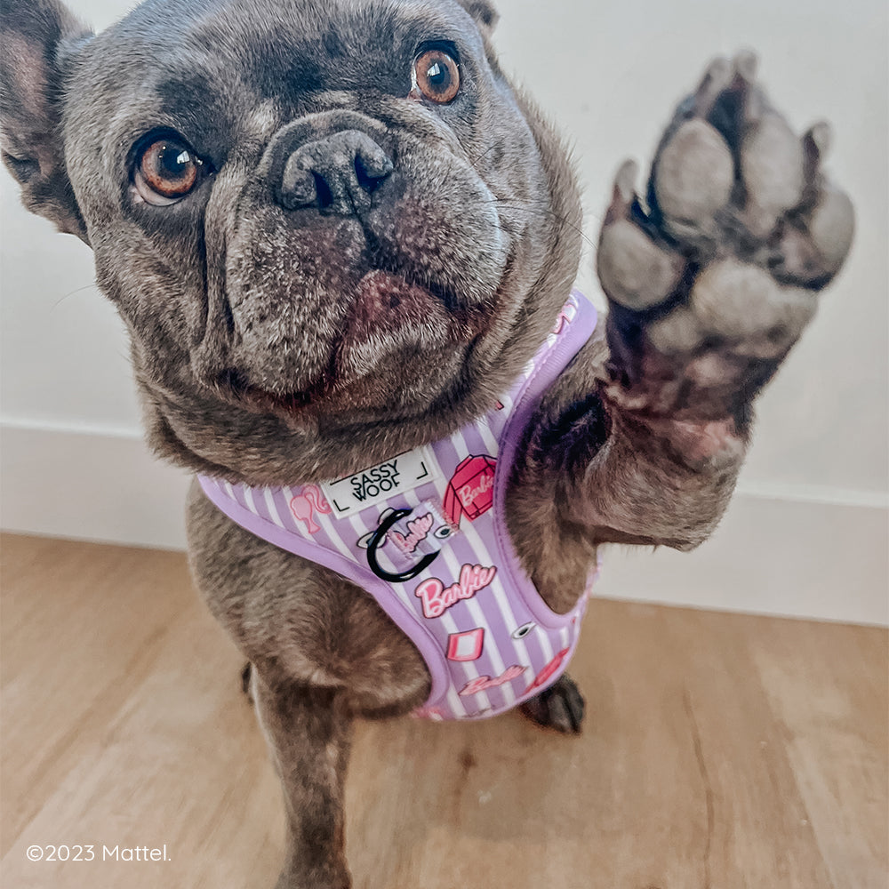 Dog Adjustable Harness - BARBIE™ Closet Goals