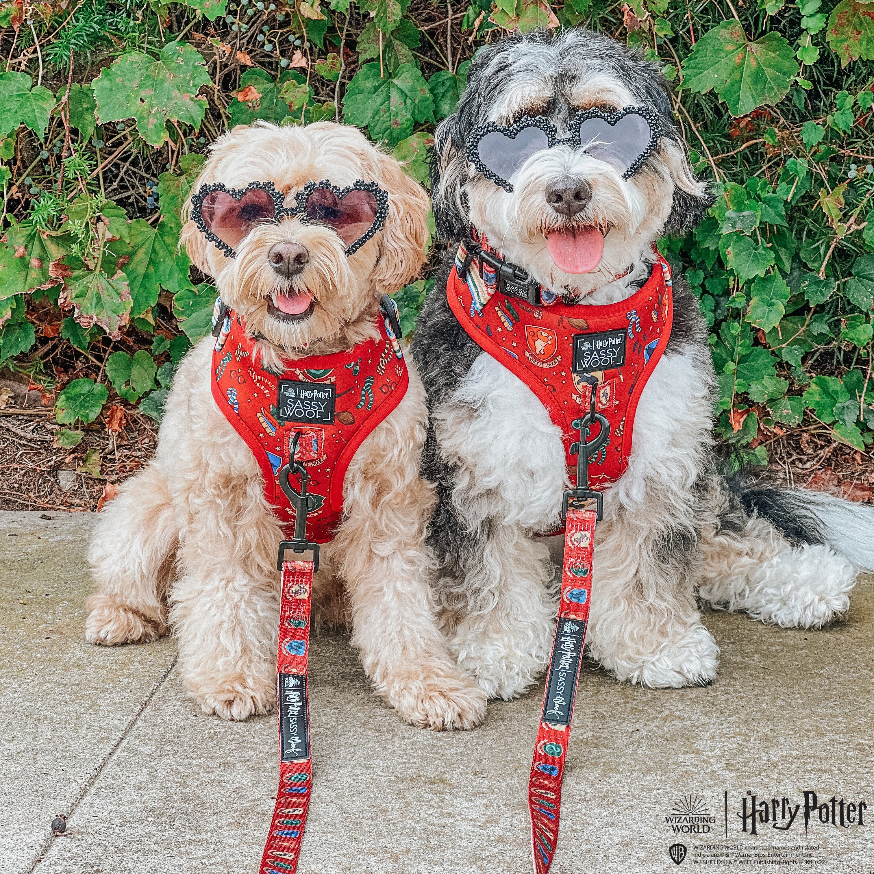 Dog Adjustable Harness - Harry Potter™