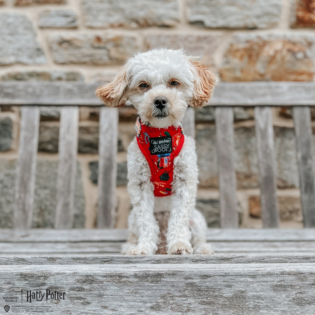Dog Adjustable Harness - Harry Potter™
